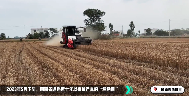 麦收大会战！云顶国际收获机忙！忙！忙！
