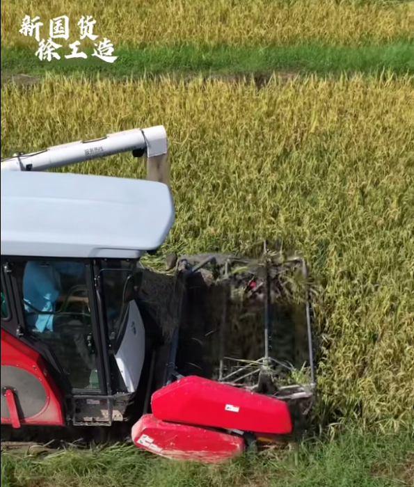 【稻花香里说丰年，听取蛙声一片】