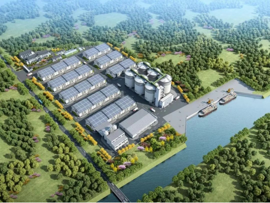 春耕备粮正当时！云顶国际大米数泵车助力苏南最大粮仓建设